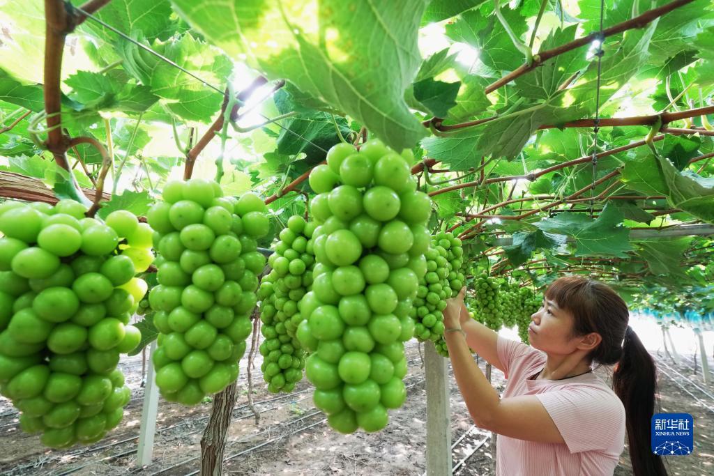 万赢娱乐电子游戏