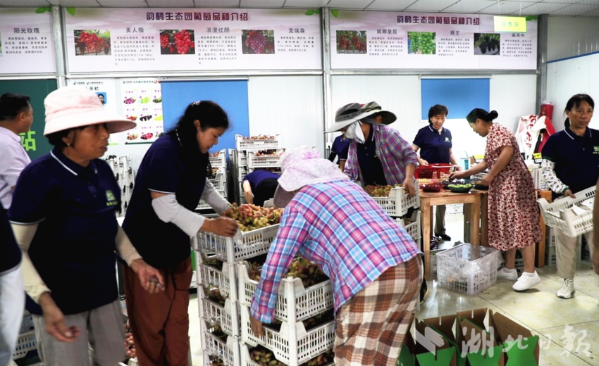 斗三公规则